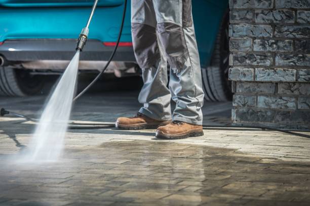 Animal Enclosure Cleaning in Atkins, AR